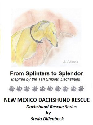 cover image of From Splinters to Splendor